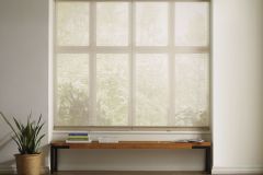 Honeycomb Shades - Applause