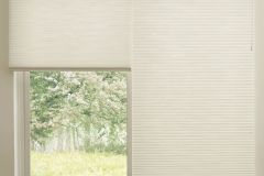 Honeycomb Shades - Applause
