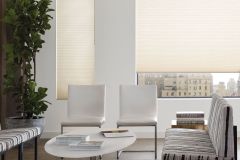 Honeycomb Shades - Duettes