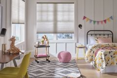 Honeycomb Shades - Applause