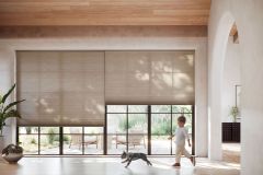 Honeycomb Shades - Applause