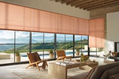 Honeycomb Shades - Duettes