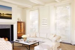 Sheer Shades - Silhouette