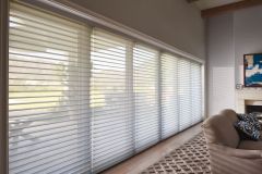 Sheer Shades - Silhouette
