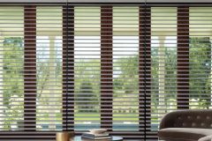 Sheer Shades - Clearview Silhouette
