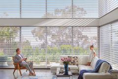 Sheer Shades - Clearview Silhouette
