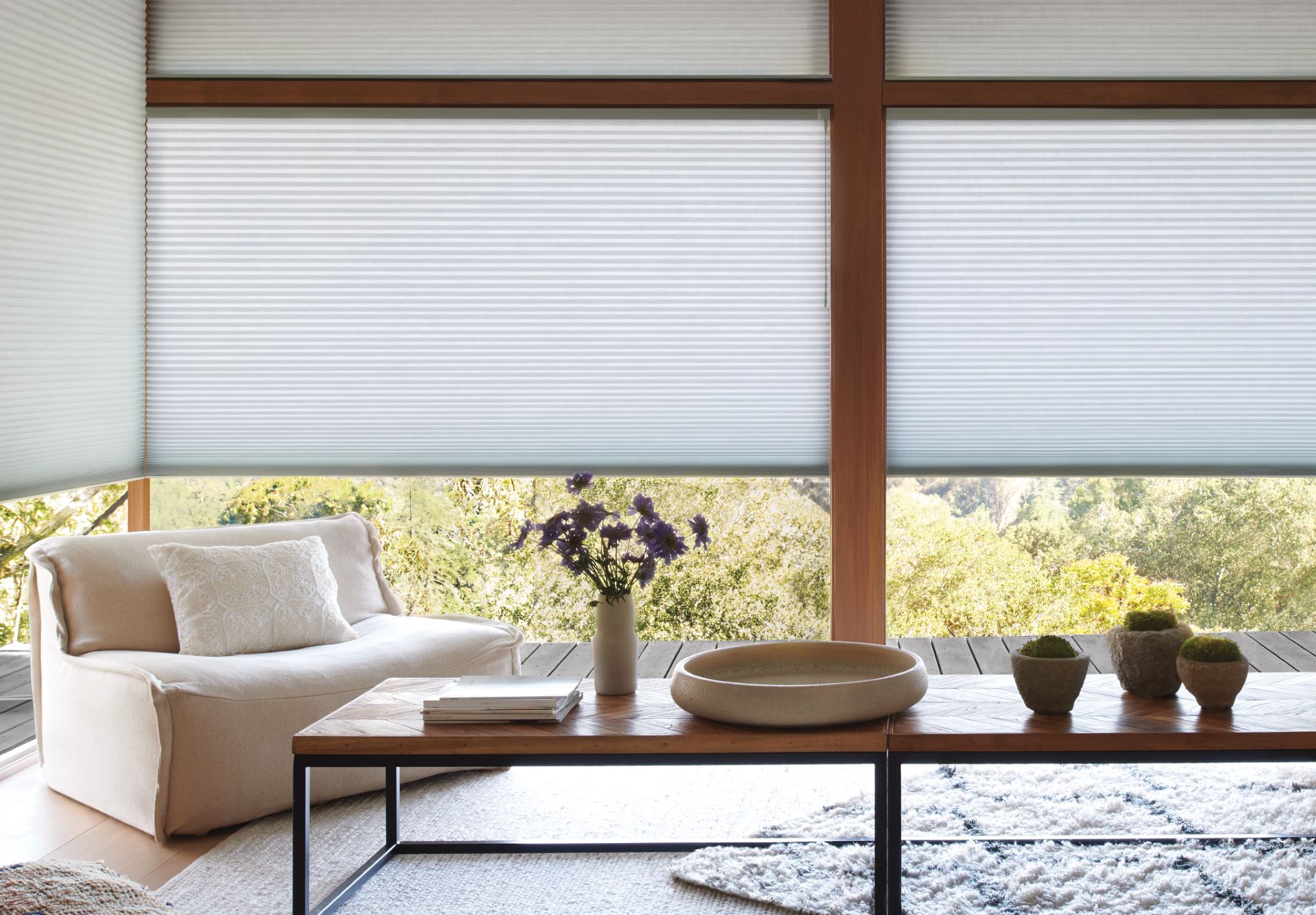 Honeycomb Shades